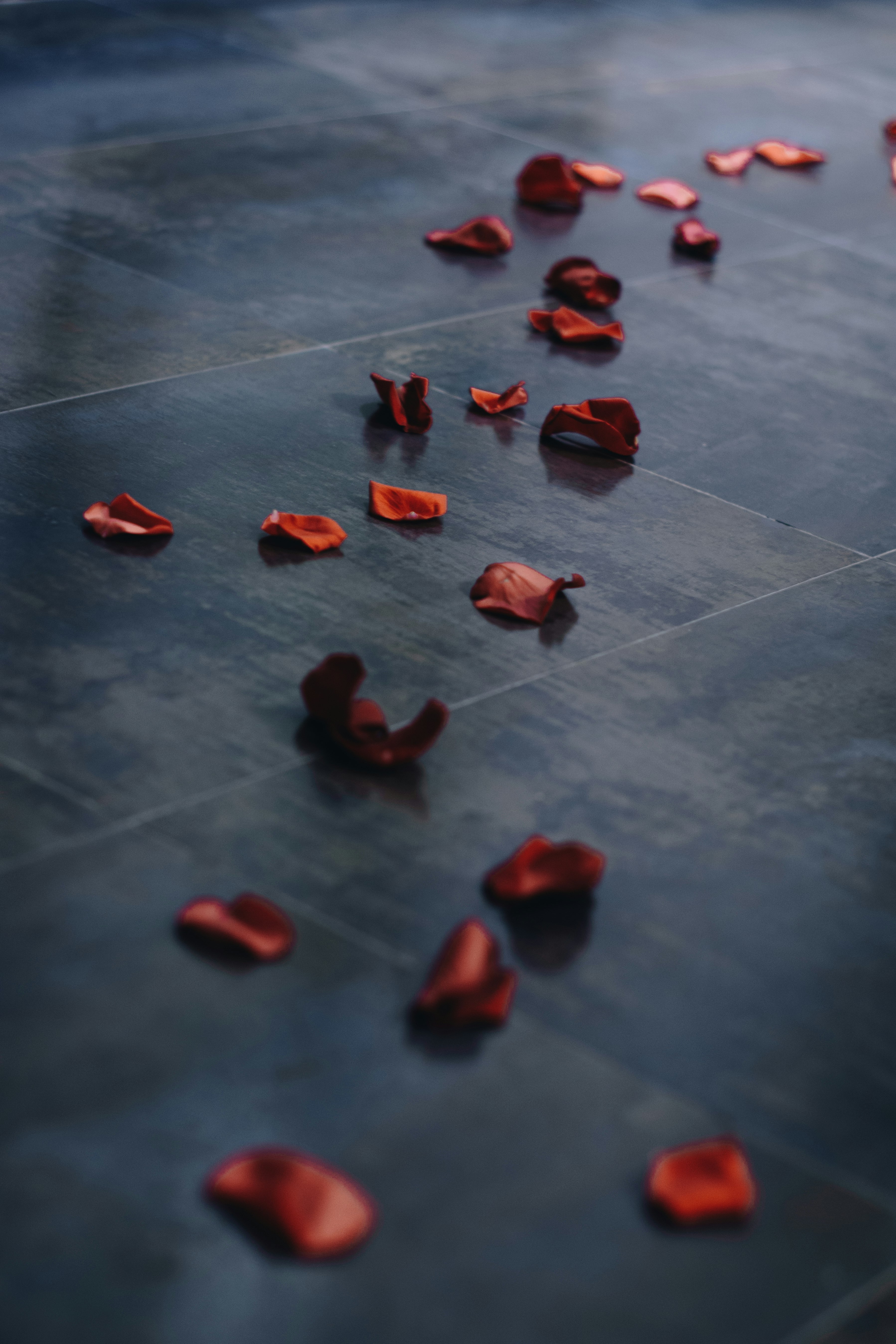 red petals on grey floor